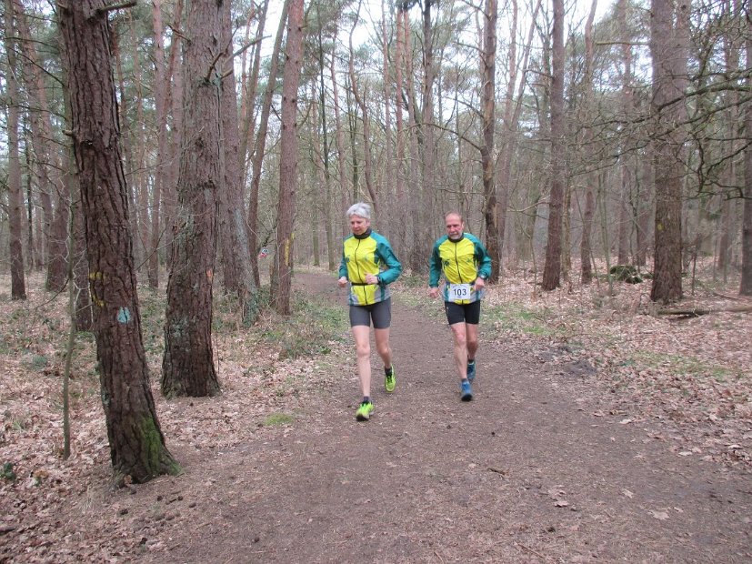 Bosloop Brecht - 09